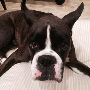 Meet your Posher, Lorrie